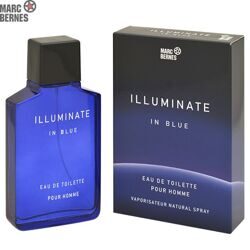 Туалетная вода мужская ILLUMINATE In Blue 100 мл